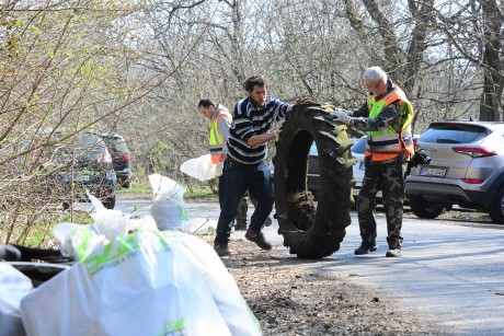TeSzedd - Csalán a polgárőrök közössége szedte a szemetet az erdőben